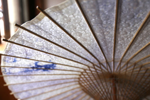 Parasol [double-layered light blue x fir paper blue shading]