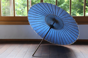 Parasol [double-layered navy blue x whirlpool]