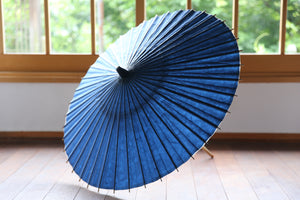 遮阳伞[双线，海军蓝x漩涡]