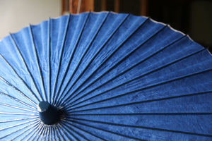 Parasol [double-layered navy blue x whirlpool]
