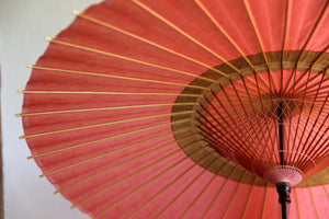 Janome umbrella [Nakahari pink x black persimmon]