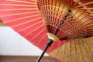 Janome umbrella [striped pink x floral pattern]