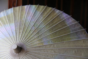 Parasol [double-lined, unevenly dyed green x white]