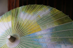 Parasol [double-lined, unevenly dyed, lime x white]