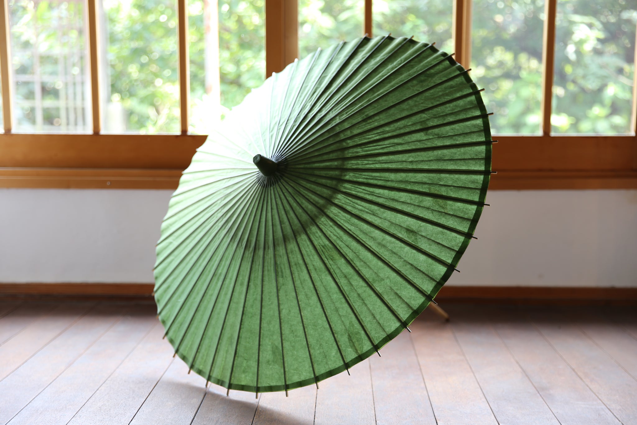 IMG_5038_bfbf6764-2787-4c29-