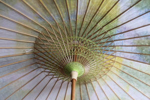 Parasol [double-lined, unevenly dyed, lime x white]