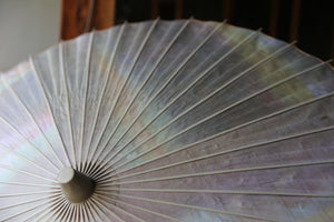 Parasol [double-lined, unevenly dyed, purple x white]