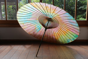 Janome Umbrella [Colorful III]