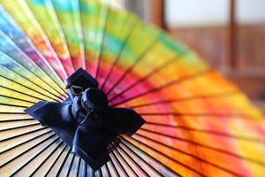 Janome Umbrella [Colorful Ⅳ]