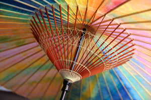 Janome Umbrella [Colorful II]