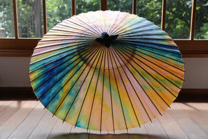 Janome雨伞【多彩II】