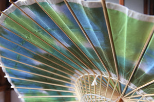 Parasol [double-lined navy blue x origami (green)]