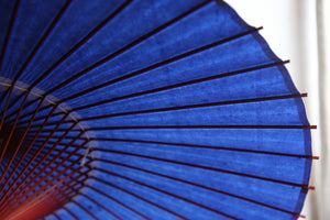 Umbrella [Navy blue (red bones)]