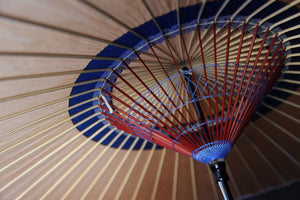 Janome umbrella [Nakabari persimmon tanning x indigo]
