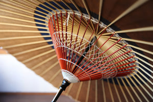 Janome umbrella [Nakahari persimmon tanning (black persimmon) x indigo]