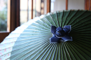Janome umbrella [Tsukiyakko olive green x small flower]