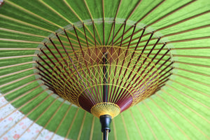 Janome umbrella [Tsukiyakko olive green x small flower]