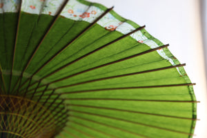 Jenome-Umbrella [Tsukiyakko, curruca arbustiva japonesa x flor pequeña].