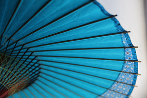 Janome umbrella [Tsukiyakko turquoise x rounded square]