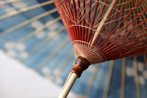 Janome umbrella [Ishitetsu white indigo dyeing 2024 Nakahari Se]