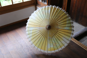 Umbrella [Ajiro Noki-yakko(colored eaves) : colorful]