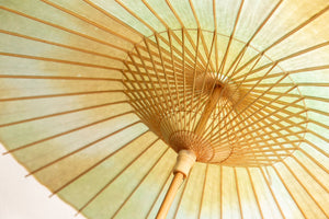 Parasol [Double-stretched persimmon juice dyed handmade Mino Japanese paper (black persimmon) x Watermark Japanese paper polka dots (small)]