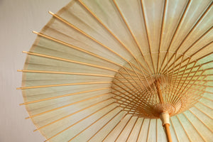 Parasol [Double-stretched persimmon juice dyed handmade Mino Japanese paper (black persimmon) x Watermark Japanese paper polka dots (small)]