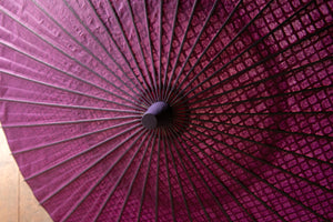 Parasol [double layered, reddish purple x openwork pattern "lattice"]