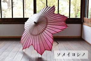 日傘【桜和傘　レンタル】 - 和傘CASA