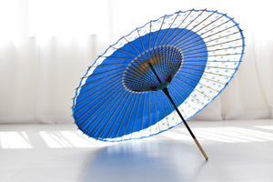 Janome Umbrella [Tsukiyoko Blue x Glass Button]