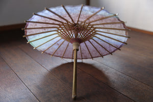 Mame Japanese umbrella [uneven dyeing purple B]