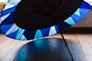 Janome Umbrella [Nokidatsu Black x Cut Joint (Blue)]