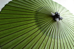 Janome Umbrella [Solid greenish brown]