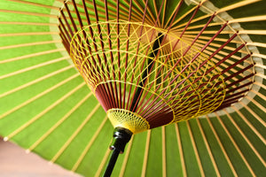 Janome Umbrella [Solid greenish brown]
