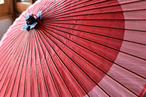 Janome 雨伞 [Nokiyoko 红色 x 交错条纹]