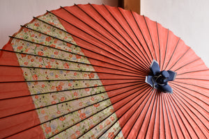 Janome umbrella [striped orange x floral pattern]