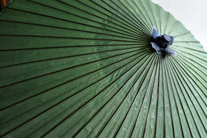 Paraguas Janome [verde liso]