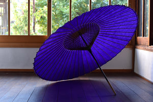 Janome Umbrella [plain purple]