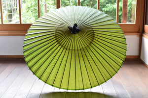 Janome umbrella [plain yellow-green]