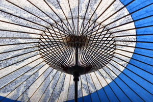 Janome 雨伞 [Tsukiyoko Nagaragawa x Blue]