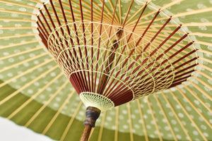 Janome Umbrella [Nokiyako glass button x burgundy color]