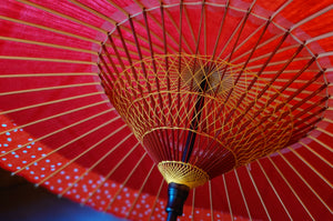 Janome 雨伞 [Nokiyoko 红色 x 波尔卡圆点]