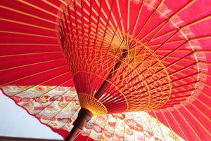 Janome Umbrella [Striped Crimson x Floral Seigaiha]