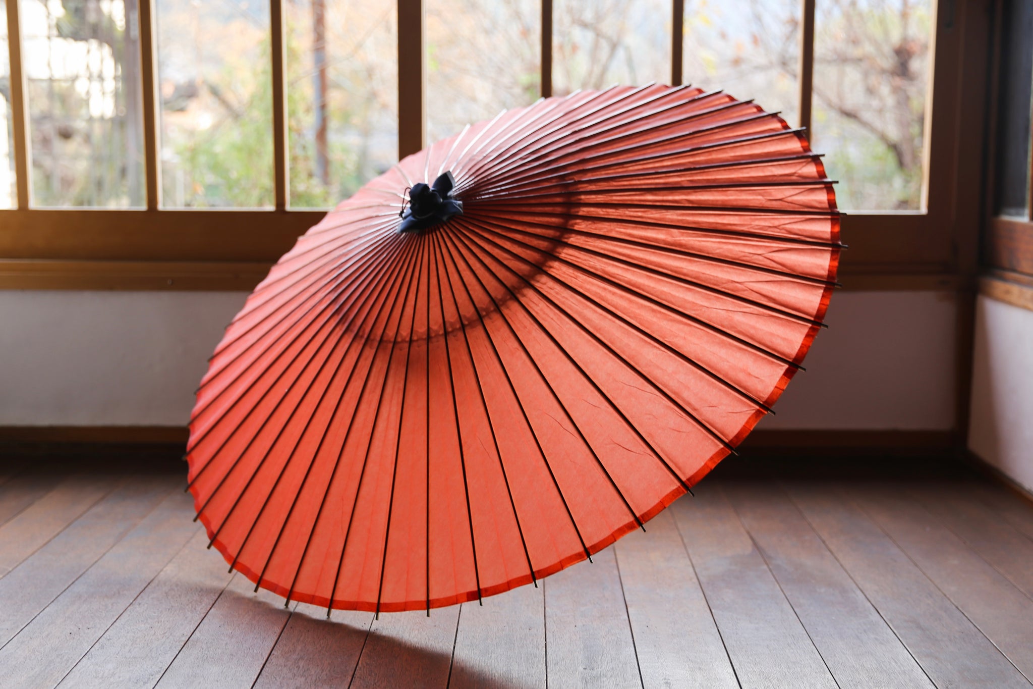 Bull's-eye design Paper umbrella(Janomegasa, Wagasa) – Tagged