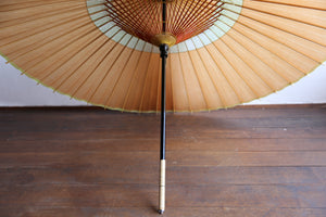 Janome 雨伞 [Medium Hari Kakishibu x Kasumi Dye (Green)]