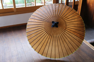 Janome Umbrella [Kakishibu-zome (black persimmon)] (Green)