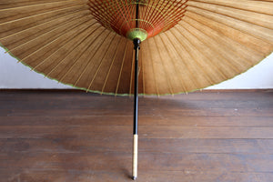 Janome Umbrella [Kakishibu-zome (black persimmon)] (Green)