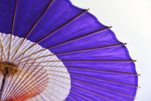 将图片加载到图库查看器，蛇の目傘【花奴　紫×矢絣】 - 和傘CASA
