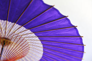 蛇の目傘【花奴　紫×矢絣】 - 和傘CASA