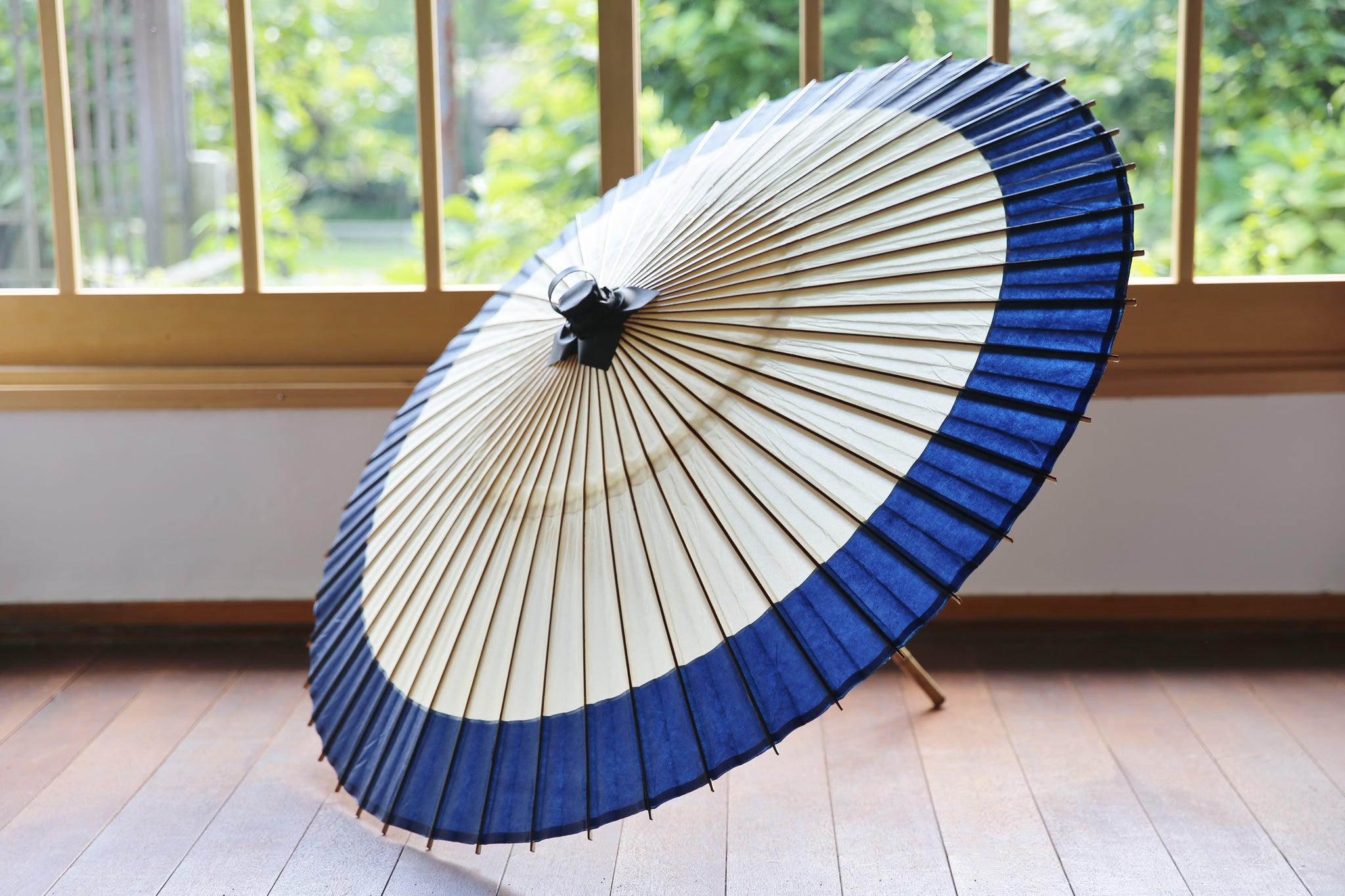 Japanese umbrella (Eaves / blue) [Mart Fujisawa store]